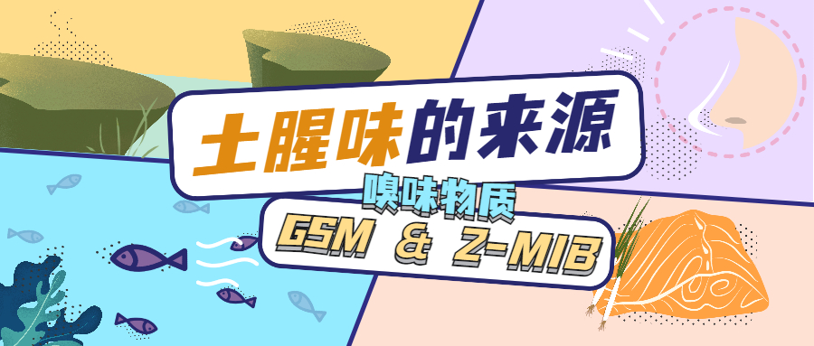 土腥味的來源——GSM & 2-MIB